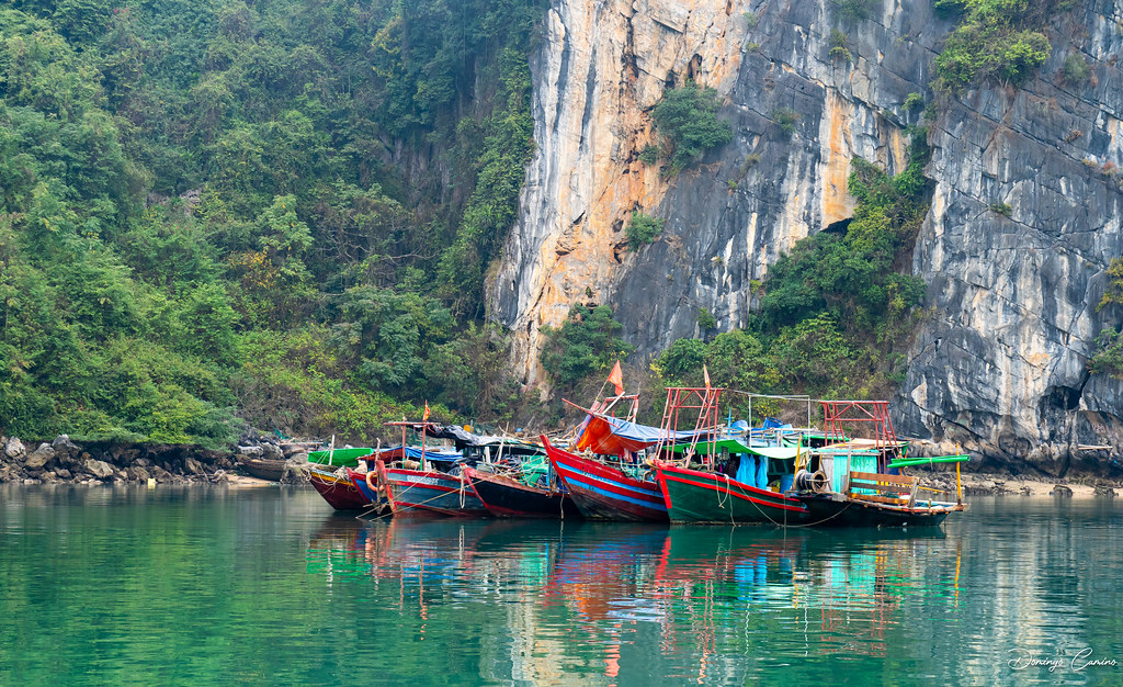 Boats/barcas/Barques Ha Long. Vietnam