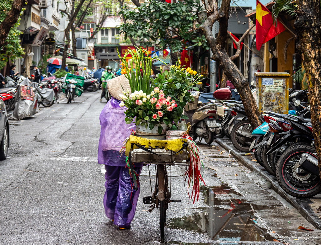 Hanoi. Mjer vietnamita.