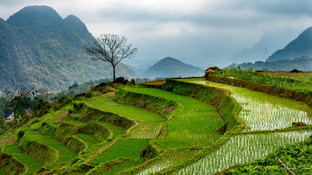 Mai Chau, Vietnam