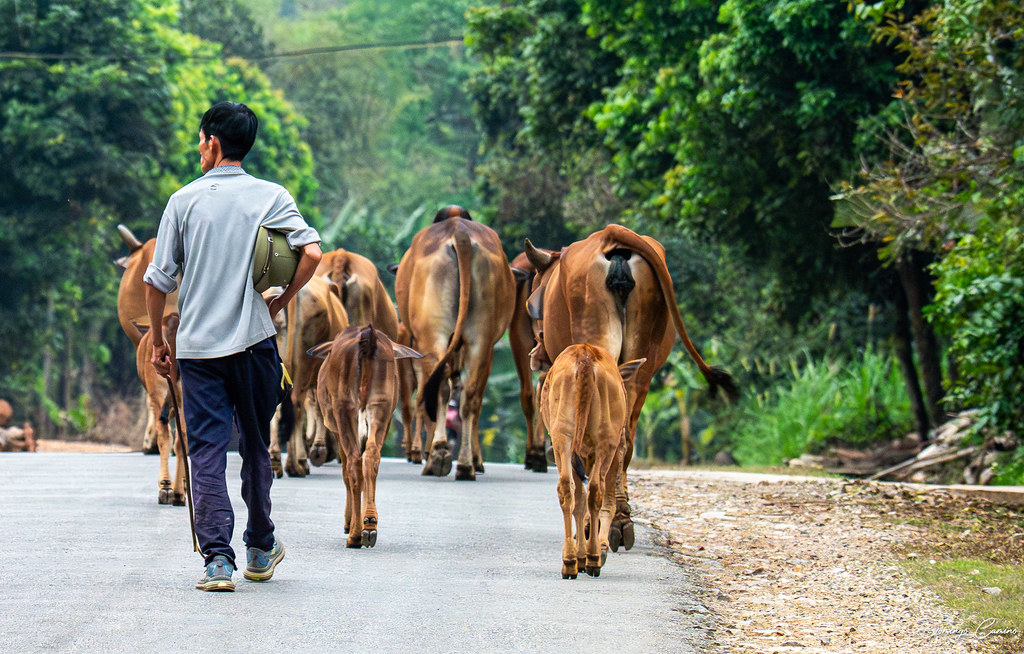 Mai Chau, Vietnam.