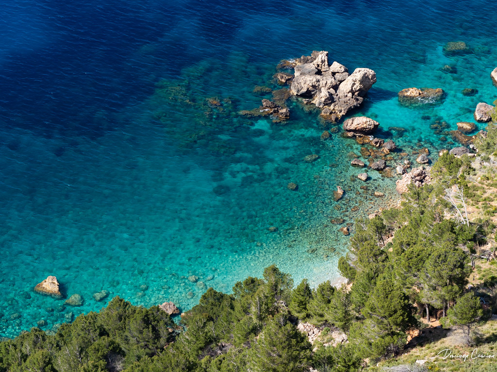 Paisatge mediterrani. Mallorca