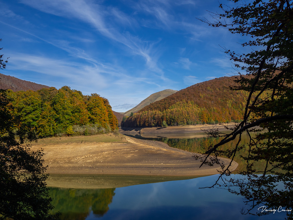 Selva de Irati, Navarra, España.
