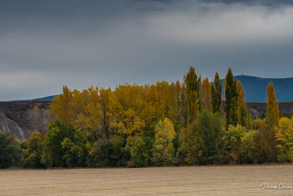 Tardor/ Otoño/ Oms/Olmos/ Faigs/ Hayas.