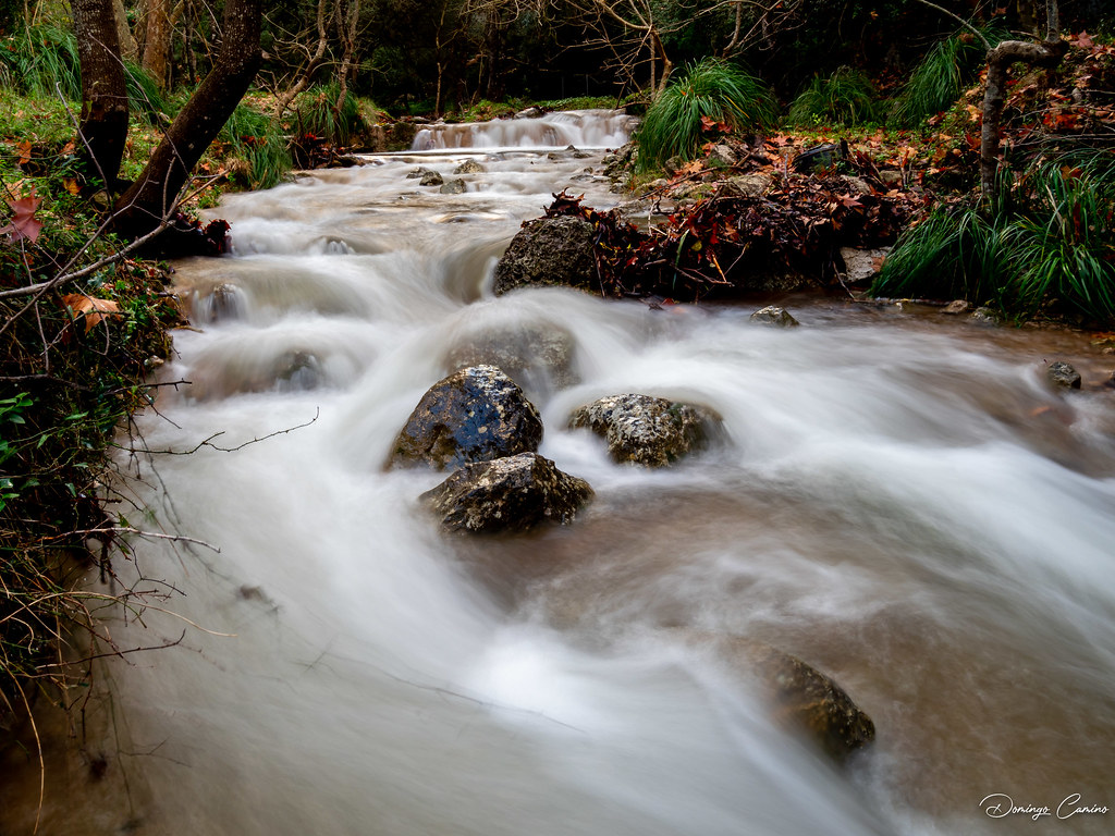 Torrent d'Esporles. Mallorca. Espanya.