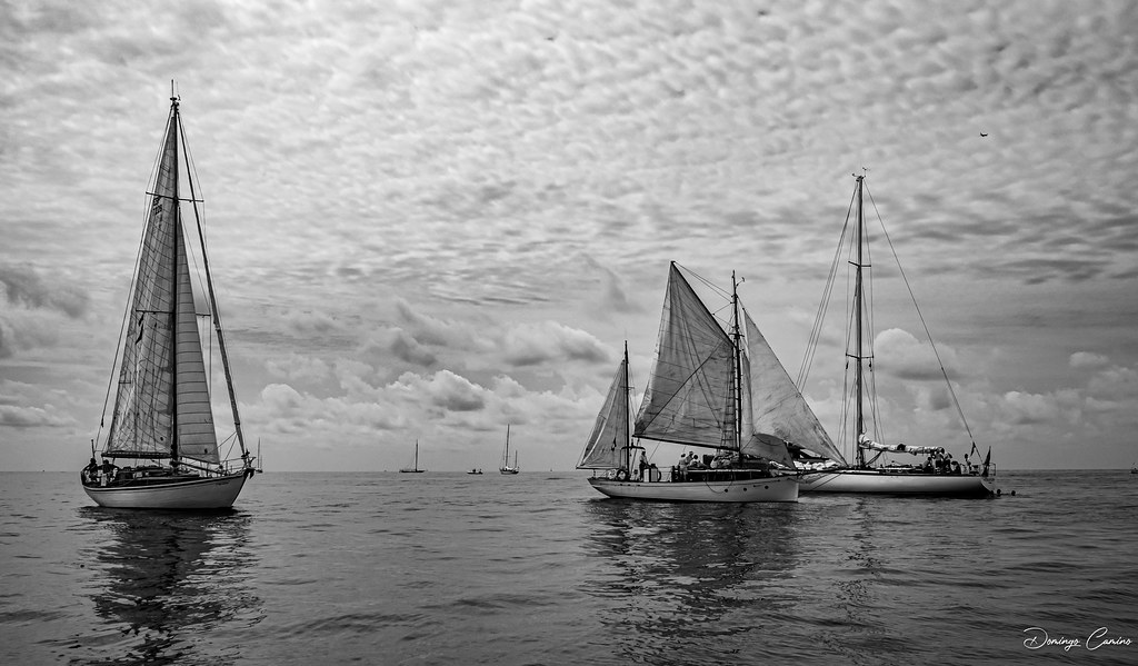 Vela Clàssica. Spain. Mallorca.