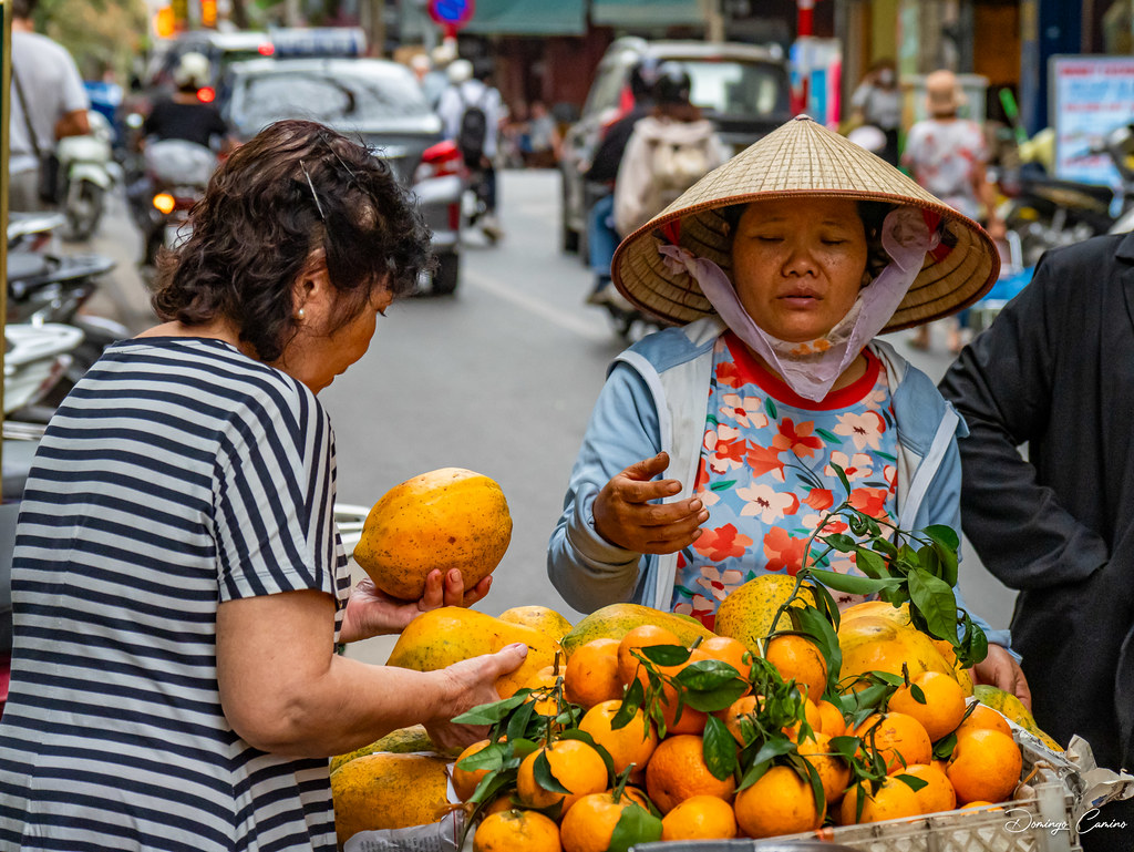 Vendedora ambulante, Hanoi. traveling saleswoman. Vietnam.