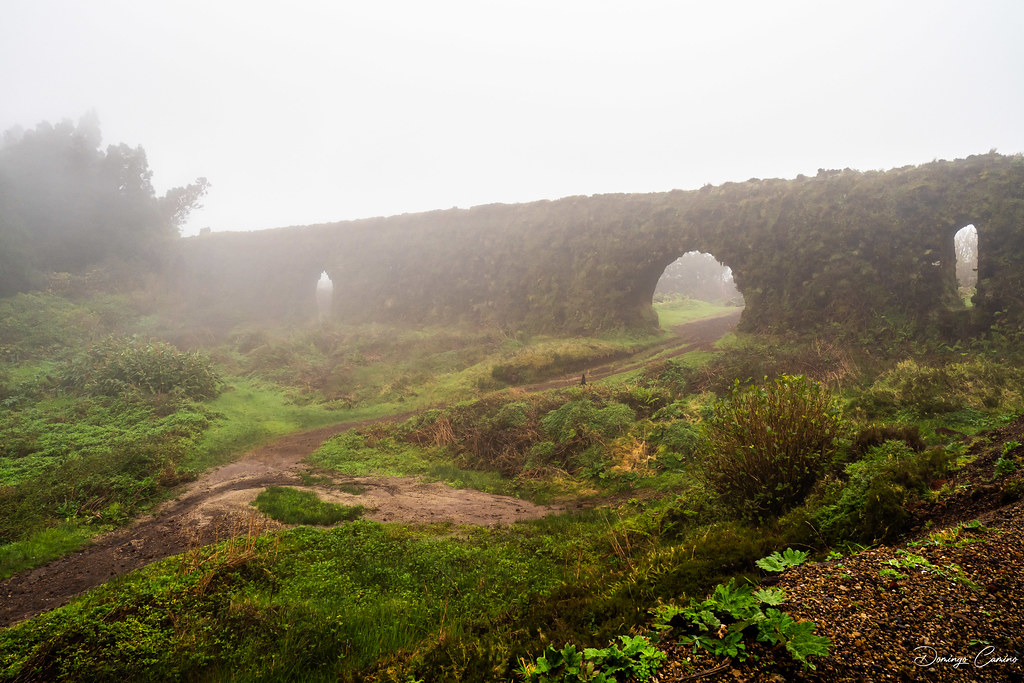 fog/Niebla/ Acueducto Sao Miguel. Azores.